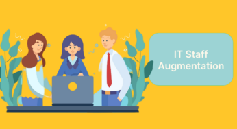 IT Staff Augmentation. Meaning, Use, Pros and Cons