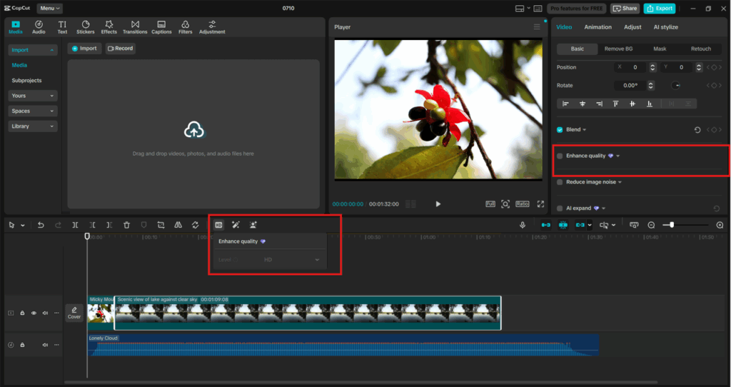Apply the Video Enhancement