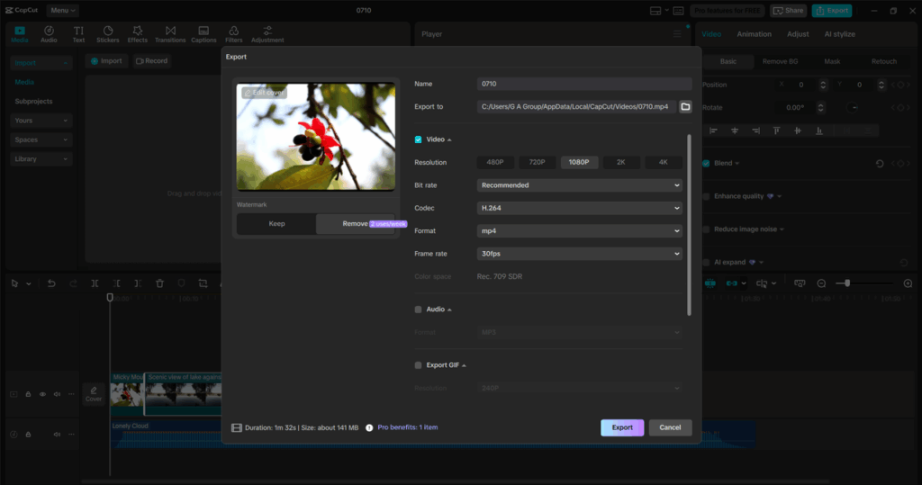 Export and Share