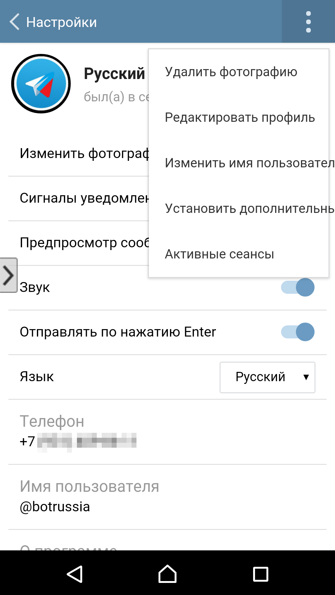 Изменить язык в телеграмме на русский андроид фото 3